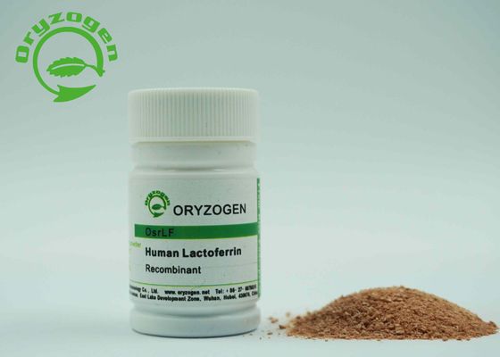 Производное заводом rhLF Lactoferrin Lacto Ferrin рекомбинатное человеческое с эндотоксином чем 20 ЕС/mg