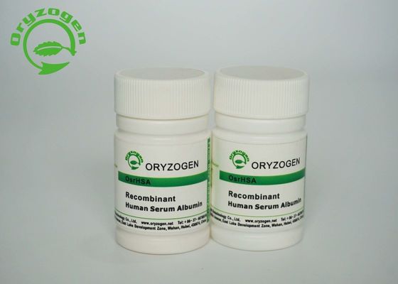 Рис Oryzogen вывел рекомбинатный человеческий альбумин сыворотки CAS 70024-90-7