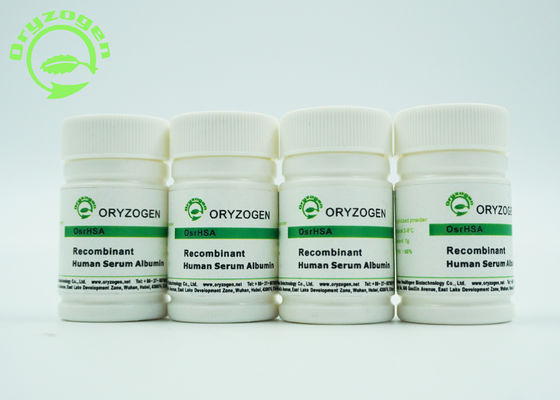 Рекомбинатное Oryza Sativa ИМЕЕТ замораживание - высушенный протеин альбумина порошка 66.554KD молекулярный массовый человеческий