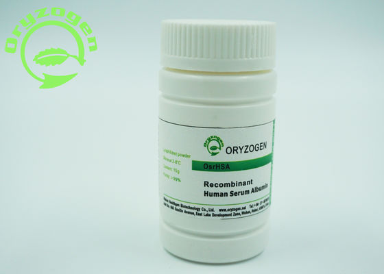 Рекомбинатное Oryza Sativa ИМЕЕТ замораживание - высушенный протеин альбумина порошка 66.554KD молекулярный массовый человеческий