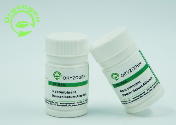RHSA альбумина сыворотки ранга Excipient животное свободное рекомбинатное человеческое для вакционного Excipient исследования
