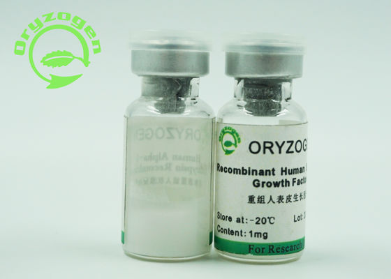 Порошок эпидермического фактора роста EGF белый лиофилизованный с эндотоксином чем 1,0 ЕС/mg