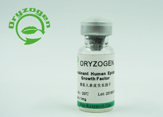 Дрожжи фактора роста EGF CAS 62253-63-8 человеческие эпидермические вывели не- животный компонент