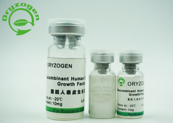 Дрожжи вывели хранят температуру заботы кожи -20℃ фактора роста EGF, который эпидермическую