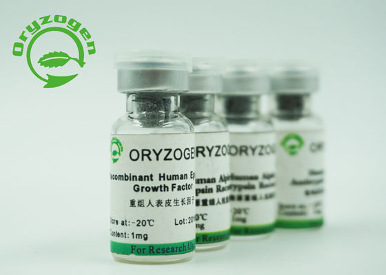 Очищенность рекомбинатное EGF 98% лиофилизовала вес 6.3Kd порошка белый молекулярный