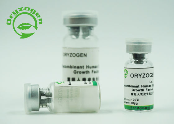 Очищенность фактора роста EFG 98% высокого Bioactivity человеческая рекомбинатная эпидермическая для кожи возобновляет/ремонт