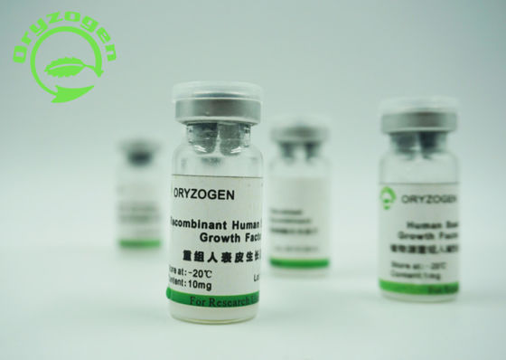 Очищенность SDS-PAGE фактора роста 98% фактора роста EGF высокого Bioactivity рекомбинатная человеческая эпидермическая определила