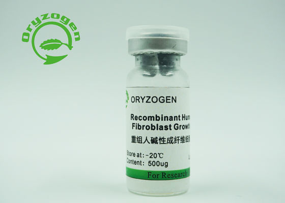 Зерно риса факторов роста rbFGF bFGF CAS 106096-93-9 рекомбинатное человеческое выразило