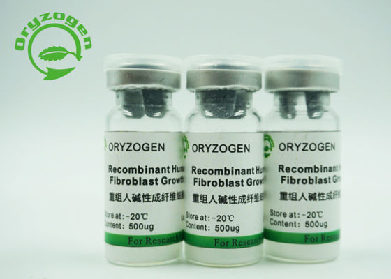 Очищенность CAS 106096-93-9 фактора роста большая чем 95% bFGF культуры стволовой клетки