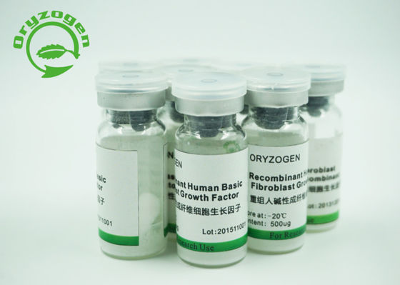 Замораживание bFGF зерна риса человеческое - высушенный порошок с эндотоксином чем 1 ЕС/ug