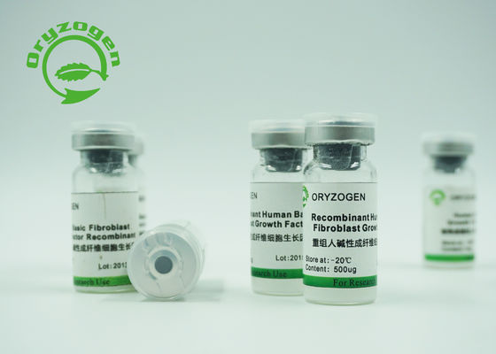 Рекомбинатный Oryza Sativa извлеченное -20℃ Storaged фактора bFGF протеина