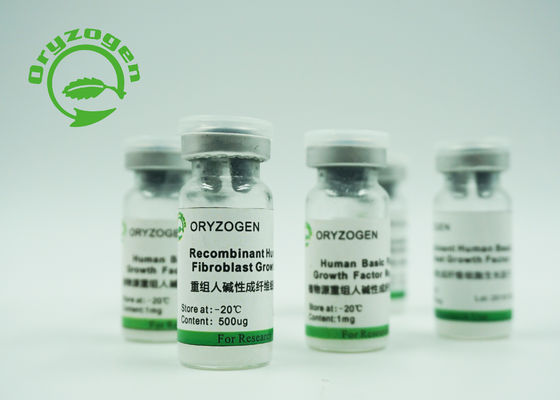 Фактор роста BFGF фиброцита высокого Bioactivity рекомбинатный основной для косметик