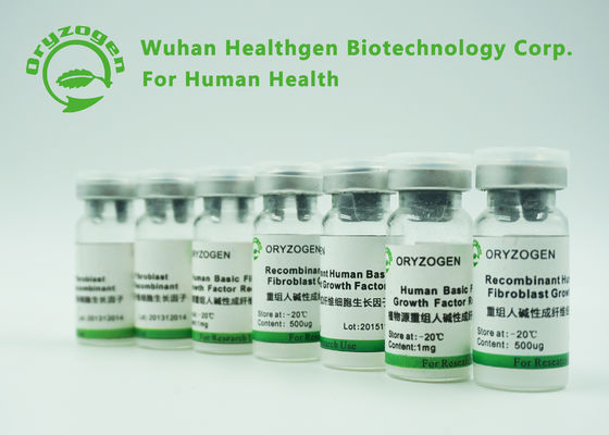 Фактор роста BFGF фиброцита высокого Bioactivity рекомбинатный основной для косметик