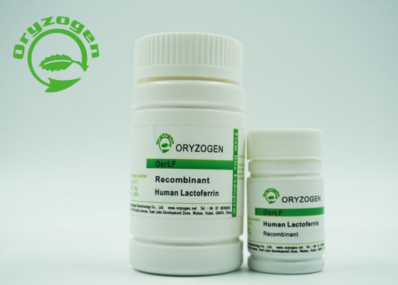 Утюг перехода Lactoferrin культуры клетки рекомбинатный человеческий повышая рост клетки