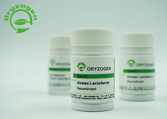 Lactoferrin начала зерна риса рекомбинатный человеческий биологический исследует реагенты 146897-68-9