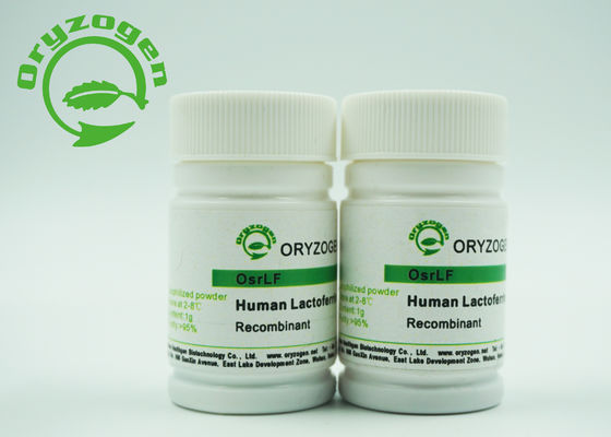 Замораживание Lactoferrin - высушенный завод порошка производный с противобактериологической деятельностью увеличивая невосприимчивость