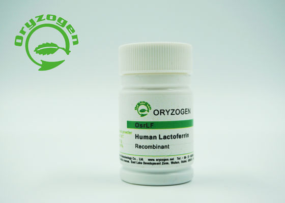 Lactoferrin Lyophiized противобактериологической очищенности больше чем 95% рекомбинатный с неорганическим солью