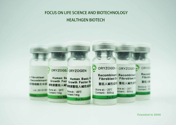 ISO аттестовал начало Oryza фактора роста rbFGF Sativa