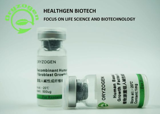 Вес фактора роста 17KD bFGF начала зерна риса рекомбинатный молекулярный