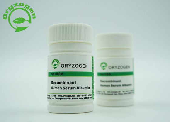 RHSA альбумина сыворотки ранга Excipient животное свободное рекомбинатное человеческое для вакционного Excipient исследования