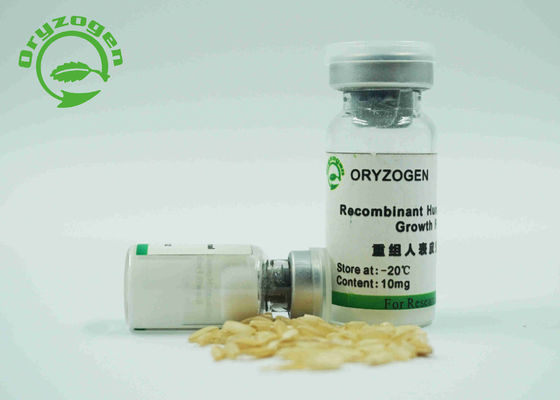 Особая чистота рекомбинатное EGF факторизует не- животный компонент для Xeno - свободное средство