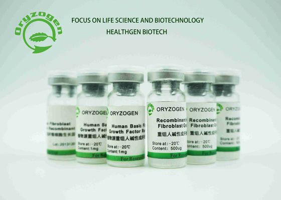 Белый лиофилизованный ремонт фактора роста bFGF порошка повредил клетки эпителия 17KD человеческое FGF2