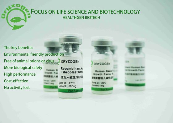 ISO аттестовал начало Oryza фактора роста rbFGF Sativa