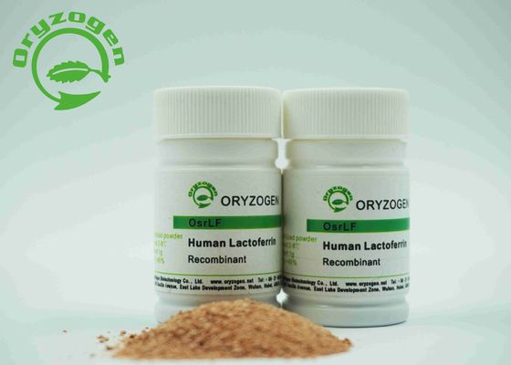 Рекомбинатное человеческое замораживание Lactoferrin - высушенный порошок