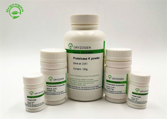Протеиназа k высокого Bioactivity рекомбинатная для генного извлечения ДНК