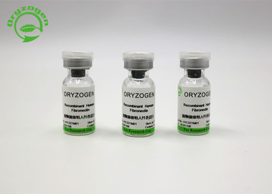Животная компонентная свободная особая чистота рекомбинатное Fibronectin FN от Oryza Sativa