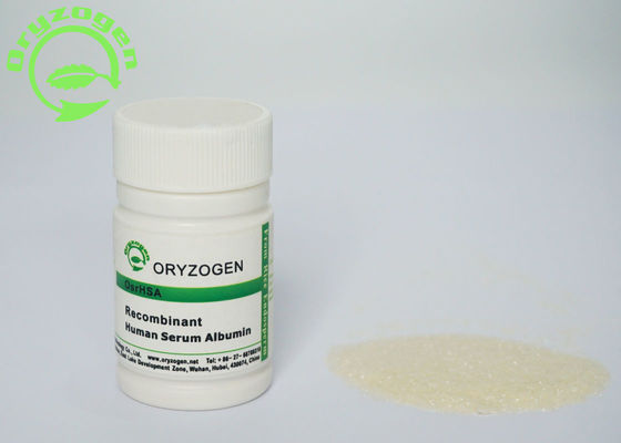Oryza Sativa аттестованное OsrHSA лиофилизовал порошок ISO9001