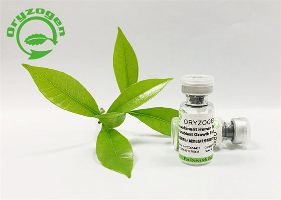 Анти- старея завод фактора роста bFGF вывел с высоким Bioactivity