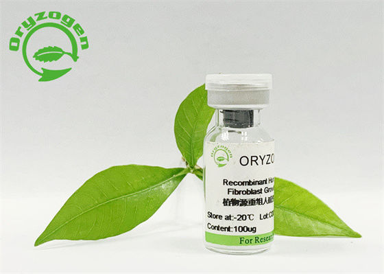 Замораживание фактора роста bFGF Bioactivity очищенности 95% высокое - высушенный порошок