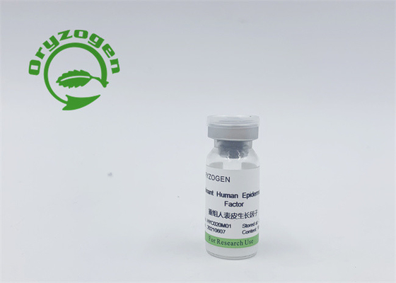 Двойная эффективность EGF и компонент очищенности bFGF 95% не животный