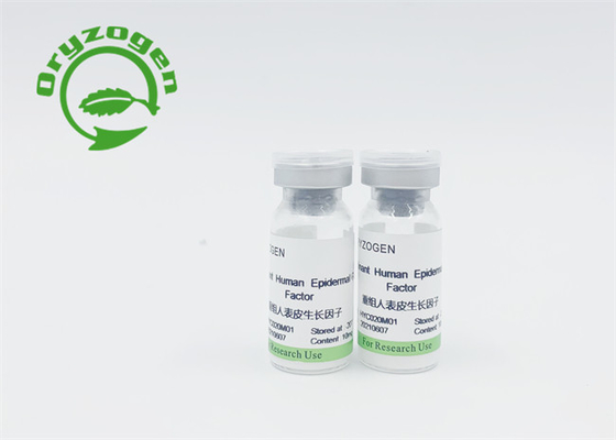Рекомбинатное замораживание bFGF протеина EGF - высушенный порошок