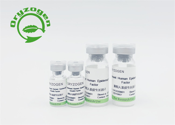 Безвкусным производный заводом фактор роста bFGF EGF отсутствие животного компонента