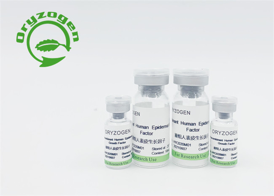 Животный компонентный свободный рекомбинатный фактор роста EGF
