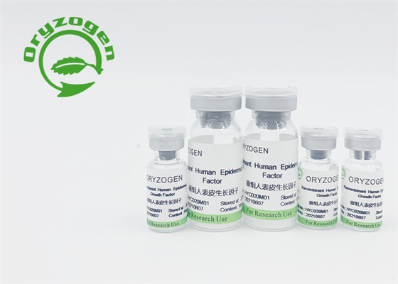 Фактор роста EGF низкого эндотоксина рекомбинатный человеческий эпидермический