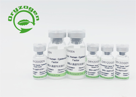 Высокий Bioactivity EGF производное заводом лиофилизовал порошок для кожи возобновляет/ремонт