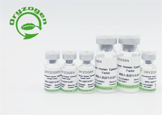 Безвкусный фактор роста EGF лиофилизовал порошок для продвижения роста эпидермической клетки кожи