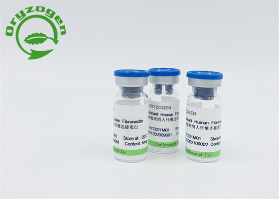 Fibronectin FN лиофилизовало порошок для кормить кожи