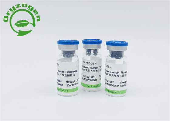 Более высокий Bioactivity Fibronectin FN для повышать регенерацию клетки и ремонтировать