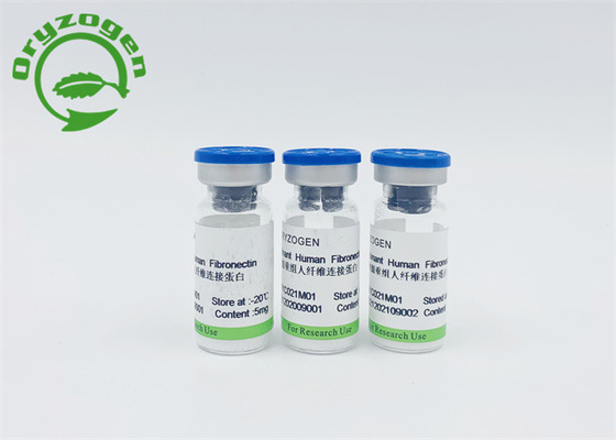 Завод ISO9001 вывел рекомбинатное человеческое Fibronectin