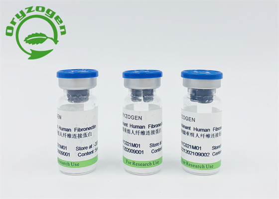 Животный компонент свободное рекомбинатное человеческое Fibronectin CAS 86088-83-7