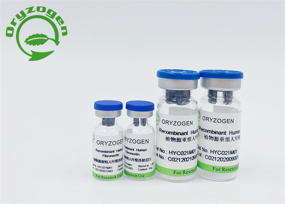 Oryza Sativa рекомбинатное человеческое Fibronectin лиофилизовал порошок